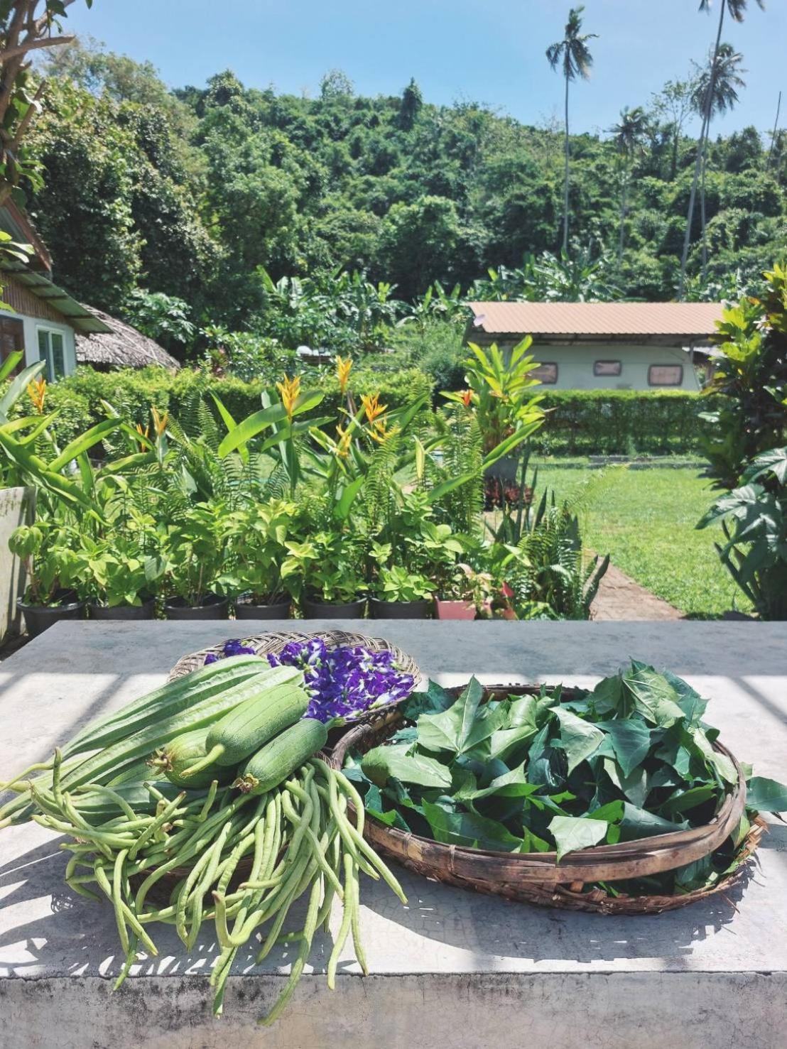 Samui Camping Farm แหลมสอ ภายนอก รูปภาพ